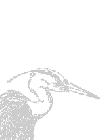 Hermandad de las Garzas