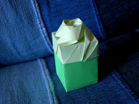 Rosa sobre caja