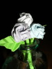 Rosas en botella