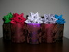 Velas estrelladas
